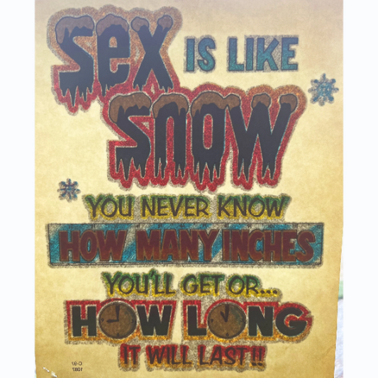 Sex is Like Snow... Vintage Glitter Iron On Heat Transfer