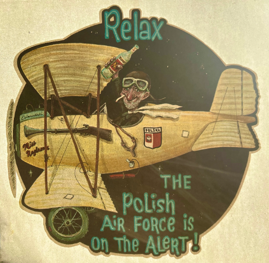 Relax...The Polish Air Force is on Alert Vintage Iron On Heat Transfer