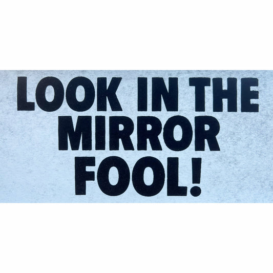 Look in the Mirror Fool! Vintage Iron On Heat Transfer