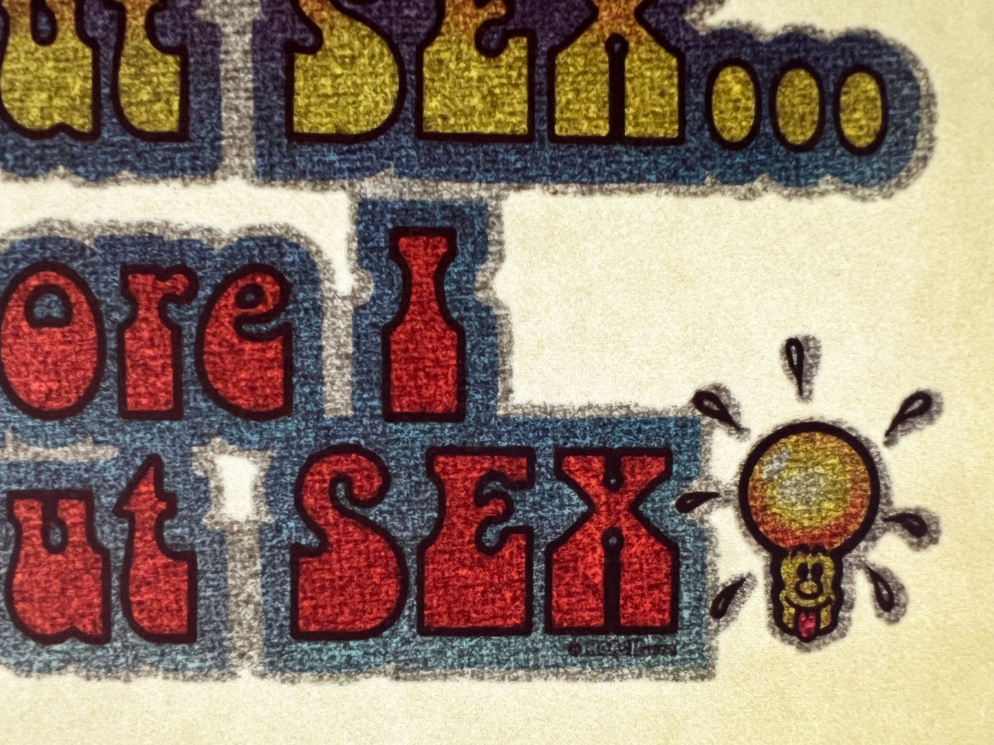 The More I Think About Sex... Vintage Glitter Iron On Heat Transfer