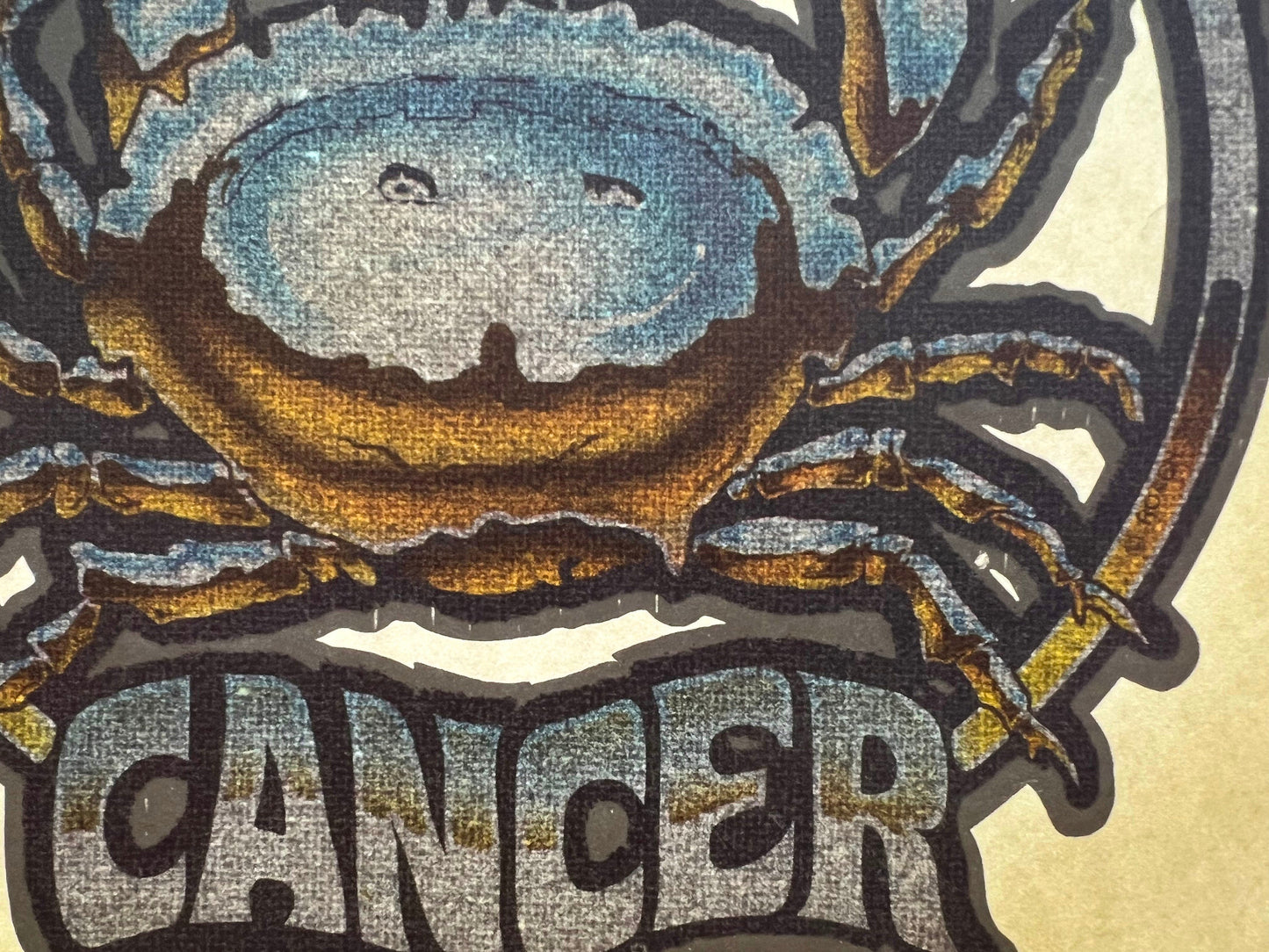 Cancer Astrology Zodiac Sign Crab Vintage Glitter Iron On Heat Transfer