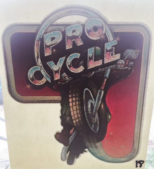 Pro Cycle Motorcycle Vintage Glitter Iron On Heat Transfer