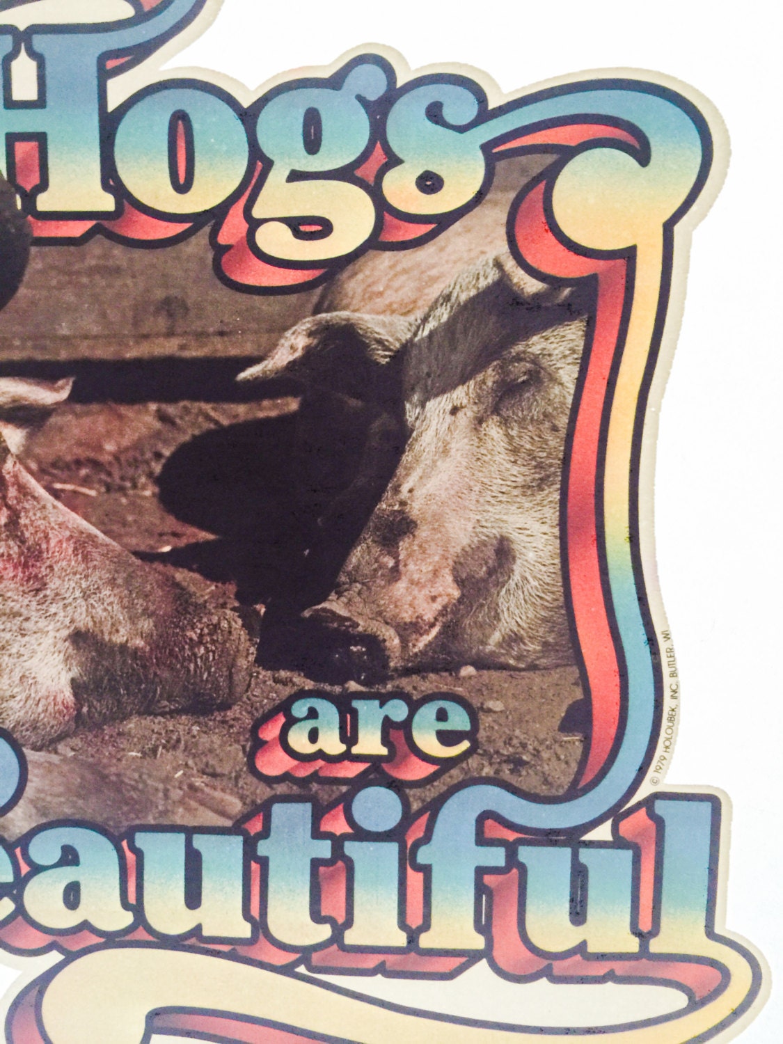 Hogs are Beautiful Vintage Holoubek Studios Iron On Heat Transfer
