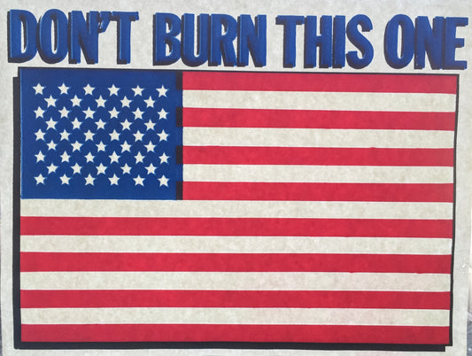 American Flag - Don't Burn This One Vintage Iron On Heat Transfer