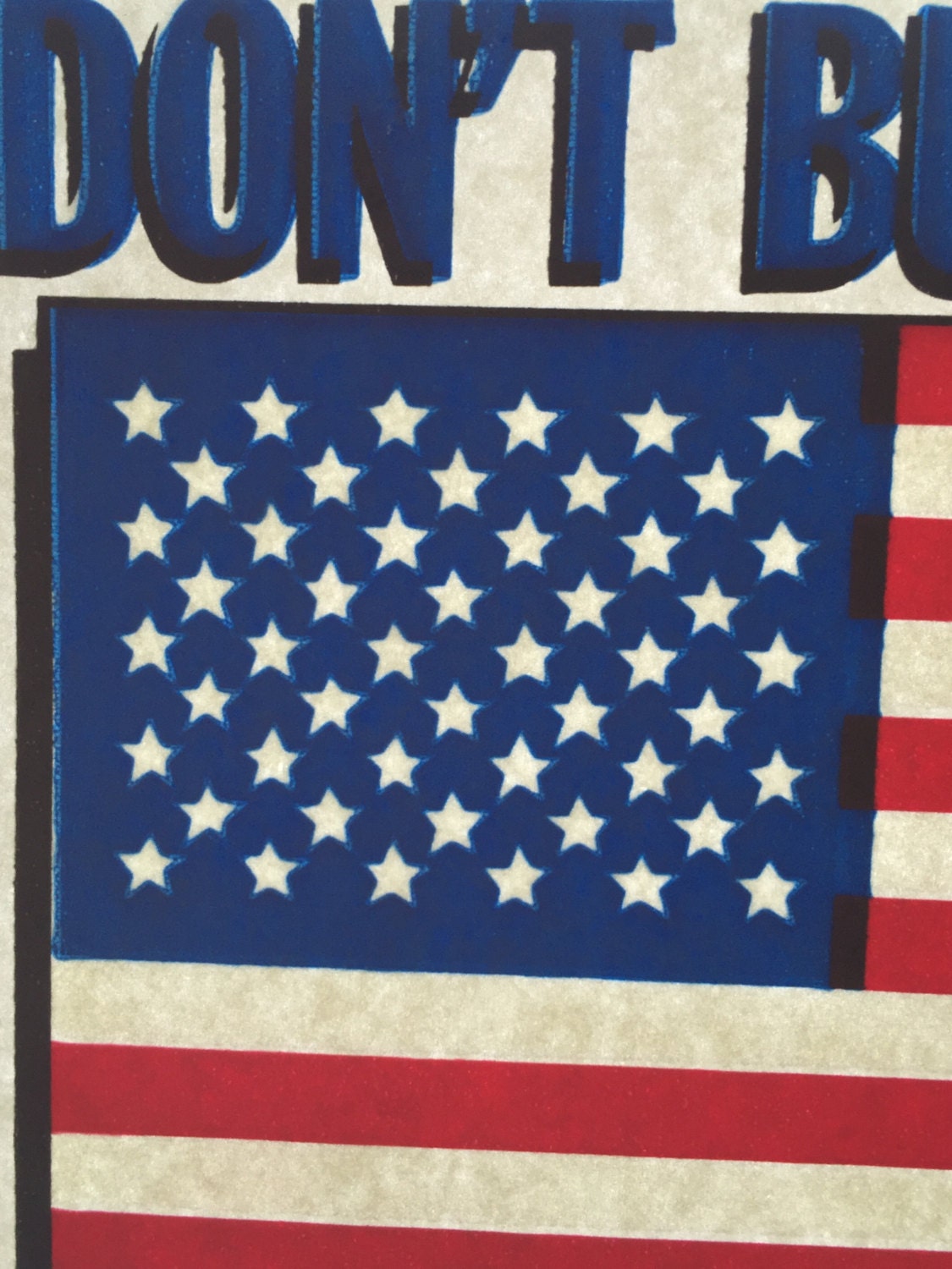 American Flag - Don't Burn This One Vintage Iron On Heat Transfer